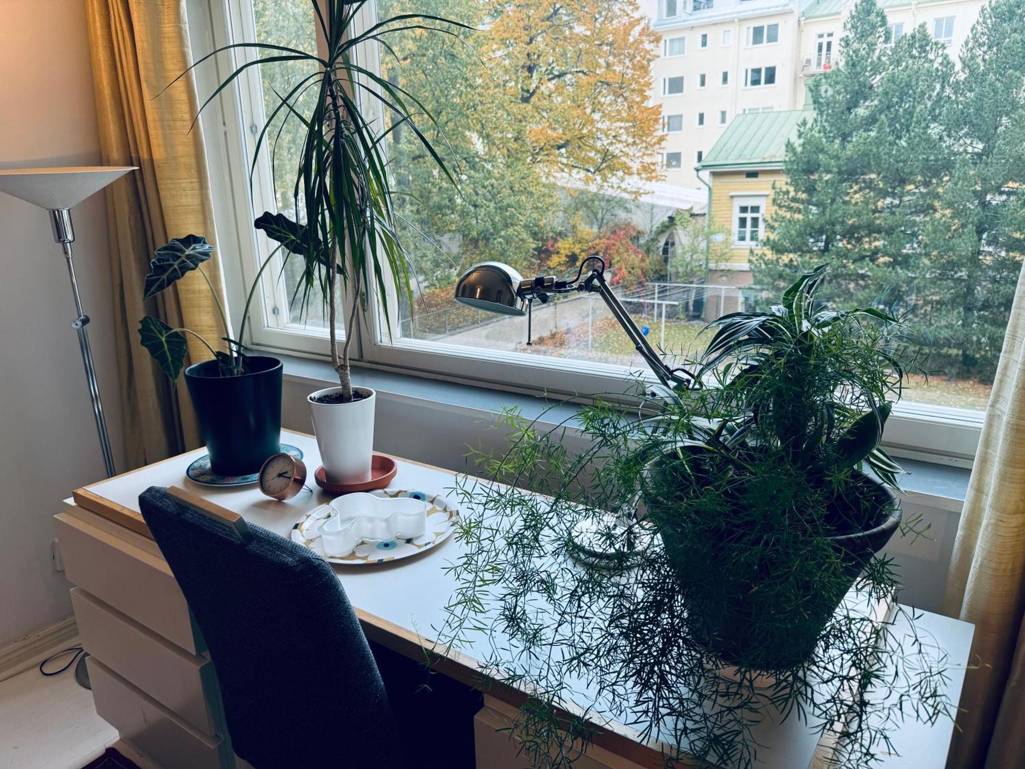 Lovely Apartment, Vuorimiehenkatu 31 Helsinki Extérieur photo